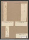 Synedra sp. (de-Toni-Nr.: Genus 66, Species 2596 ?) Zeichnungen Sammlung Grunow Nr. 5406 (NHMW-BOT-W0373836)